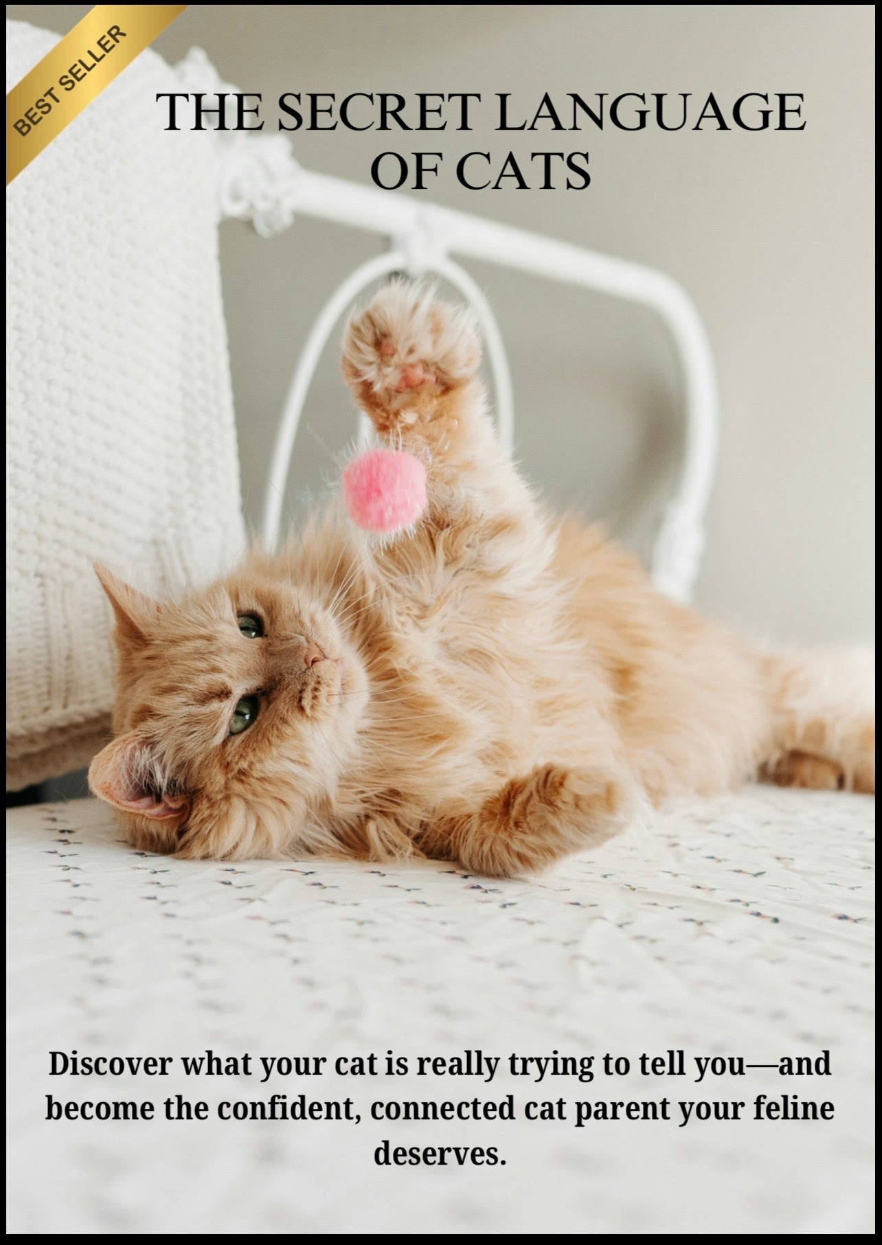 The Secret Language of Cats