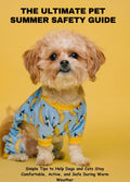 The Ultimate Pet Summer Safety Guide