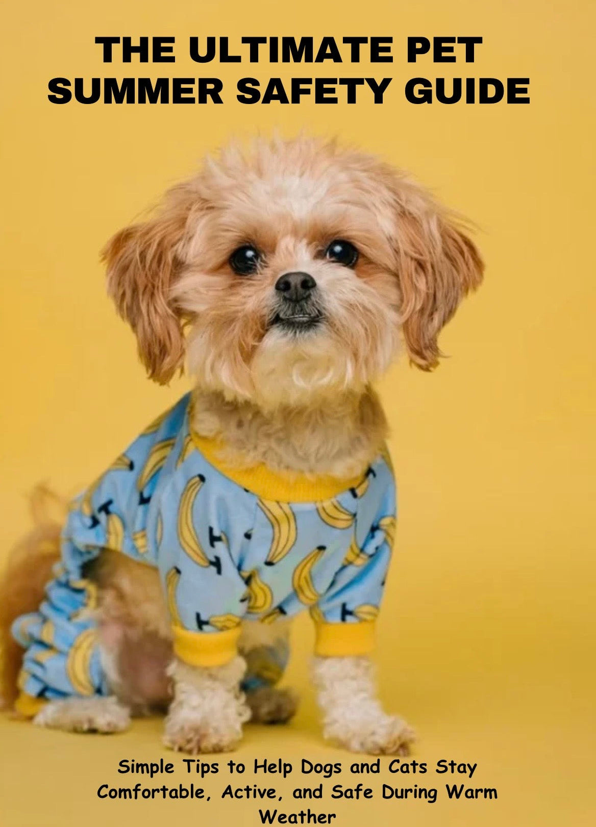 The Ultimate Pet Summer Safety Guide