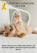 The Secret Language Of Cats